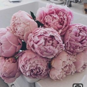 Meet your Posher, Ciara